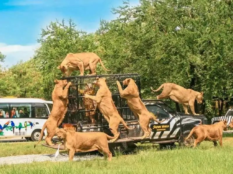 Safari & Marine Park