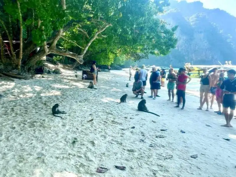 Monkey Beach