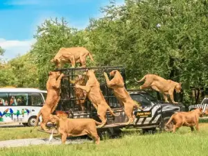 Safari & Marine Park