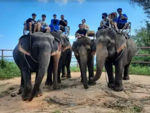 Prayai Changthai Elephant Camp