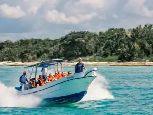 Speedboat Tours