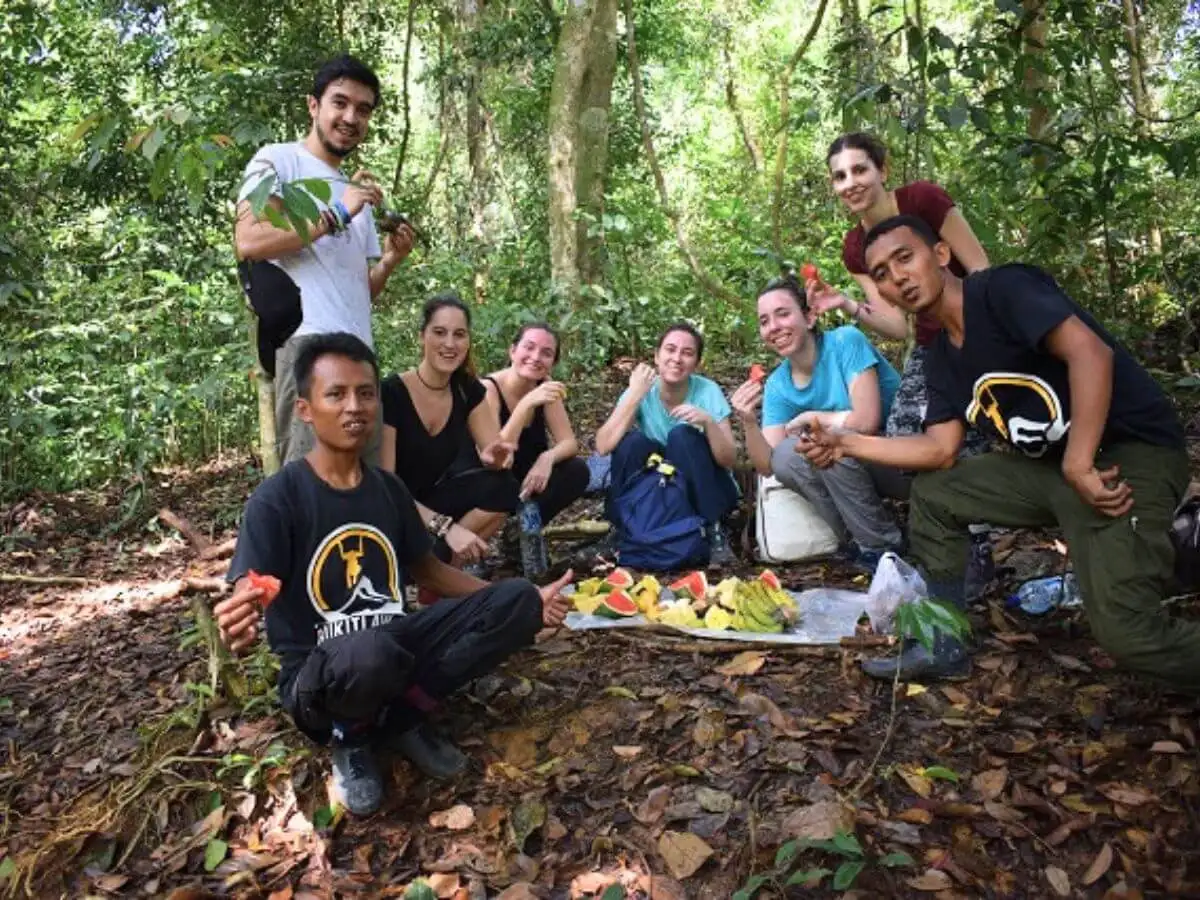 Amazing Full Day Bukit Lawang Jungle Trekking Tour from Medan