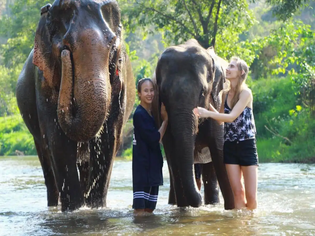 Chiang Mai Maetaeng Elephant Park Tour: Experience Elephant Magic