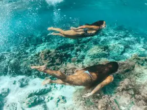 Diving and Snorkeling Tours