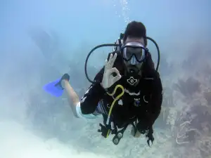 Snorkeling Tours