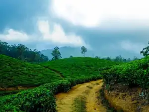 Sylhet