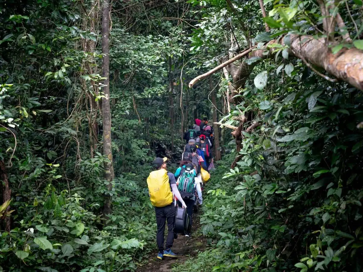 Tour image 9