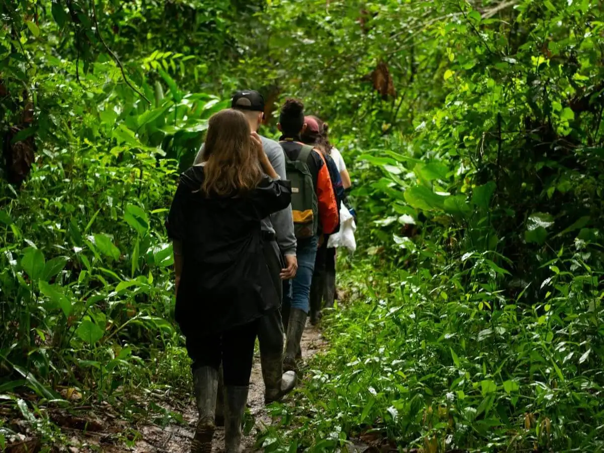 Tour image 11