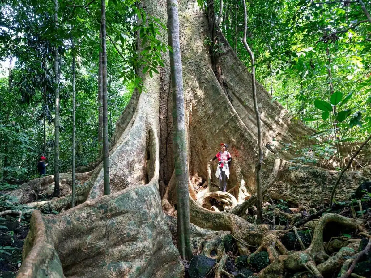 Tour image 13