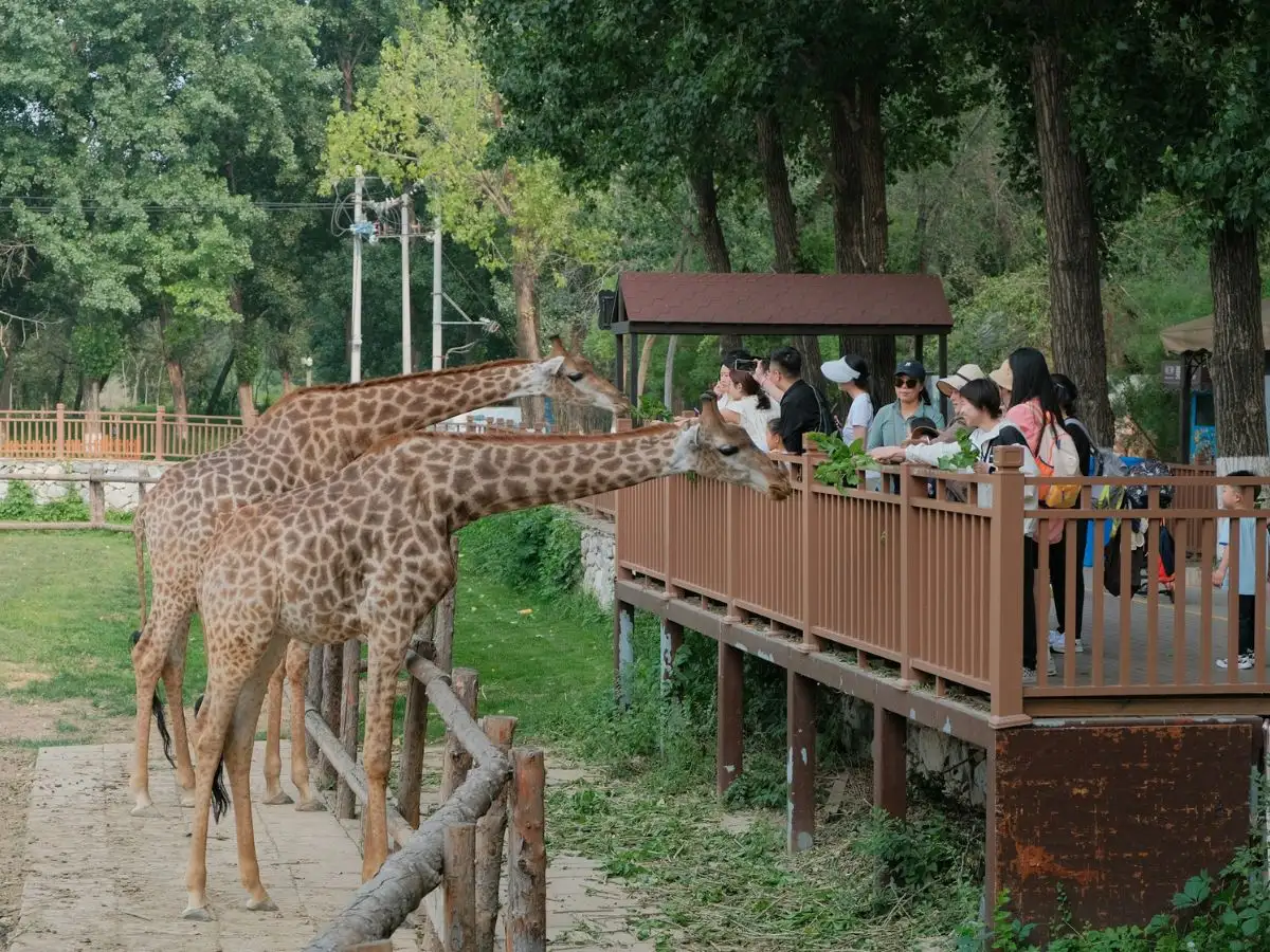 Tour image 7